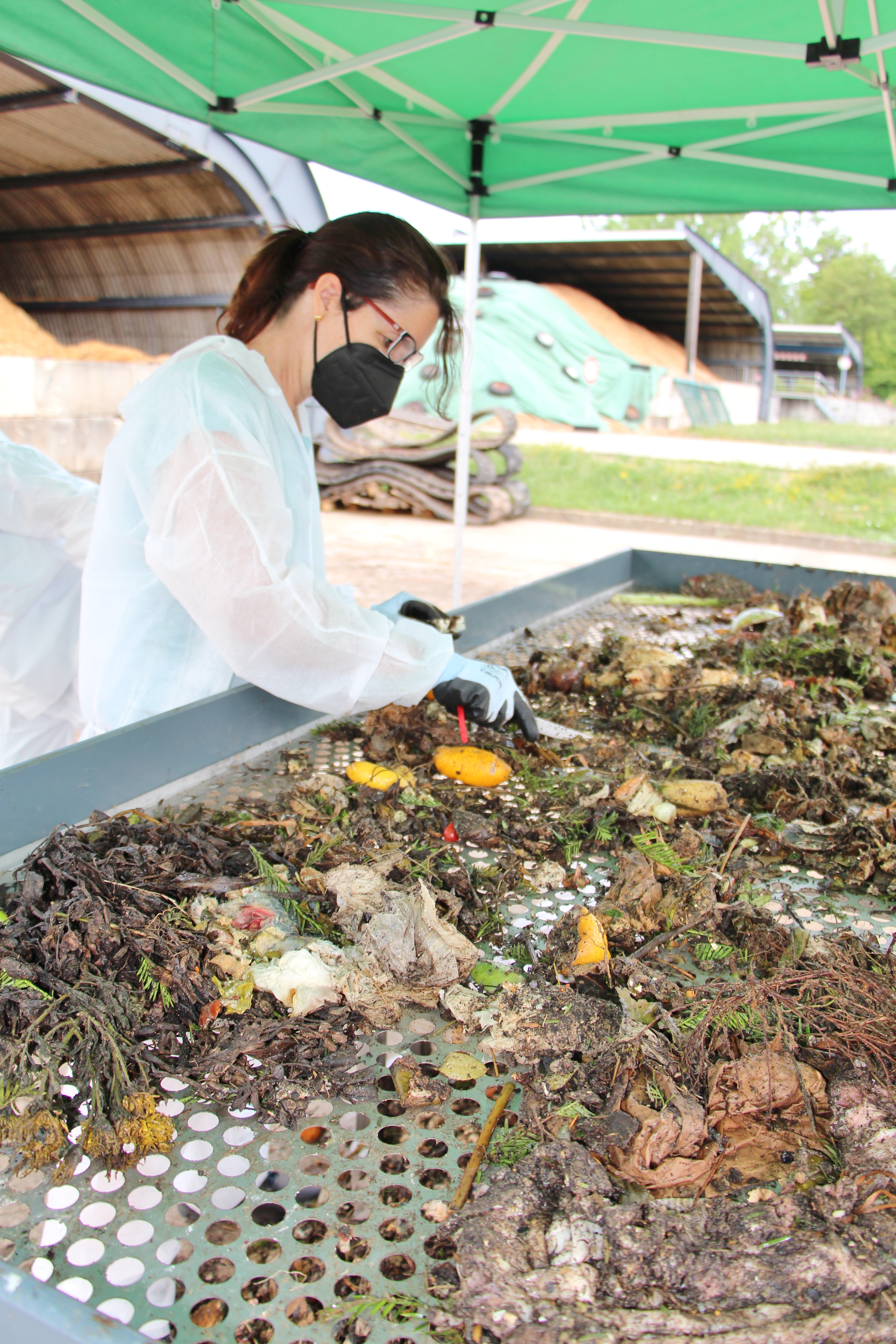 
    
            
                    Sortierung von Bioabfällen
                
        
